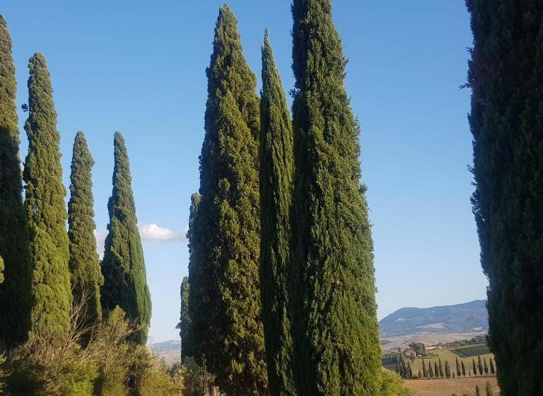 Bed and Breakfast Palazzetto Del Pittore