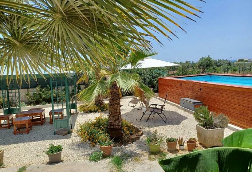 ベッドアンドブレックファースト Turtle Island