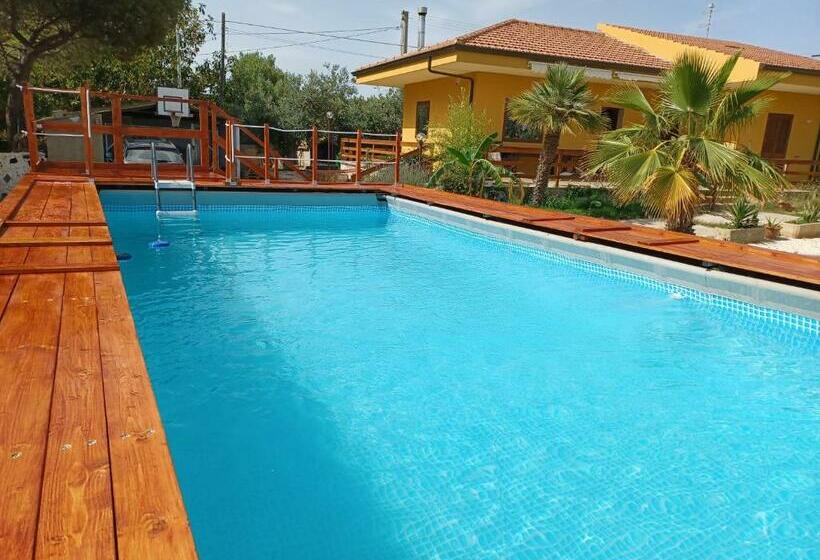 ベッドアンドブレックファースト Turtle Island