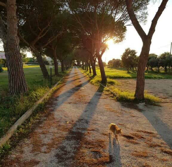 ベッドアンドブレックファースト Turtle Island