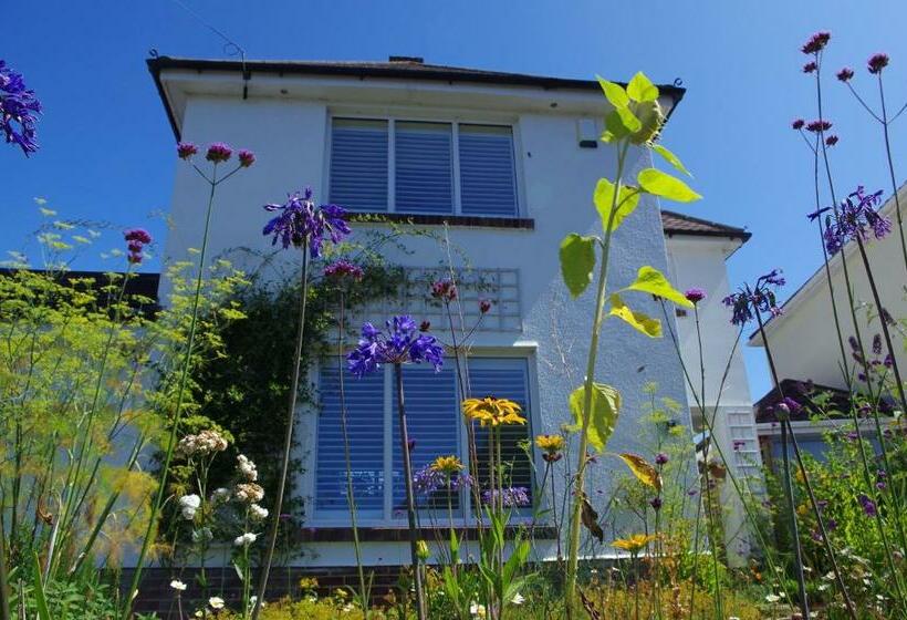 צימר Windy Willums