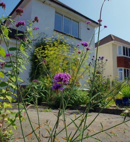 צימר Windy Willums