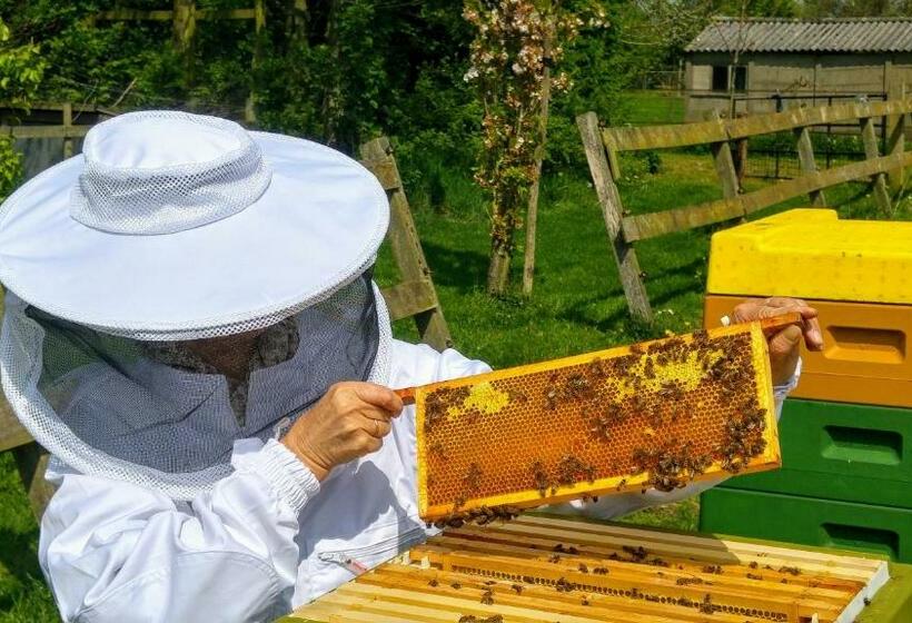 Bed & Breakfast De Heughte