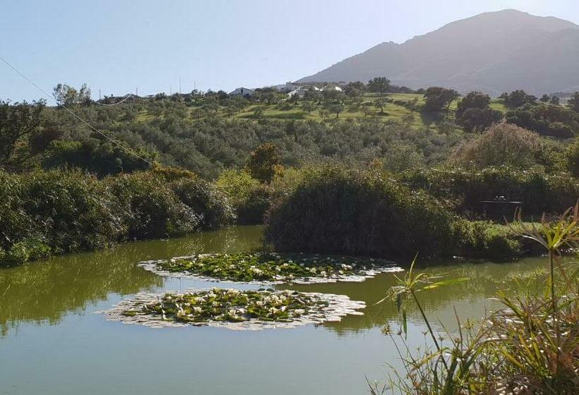 Cortijo El Chenil Rural Retreat