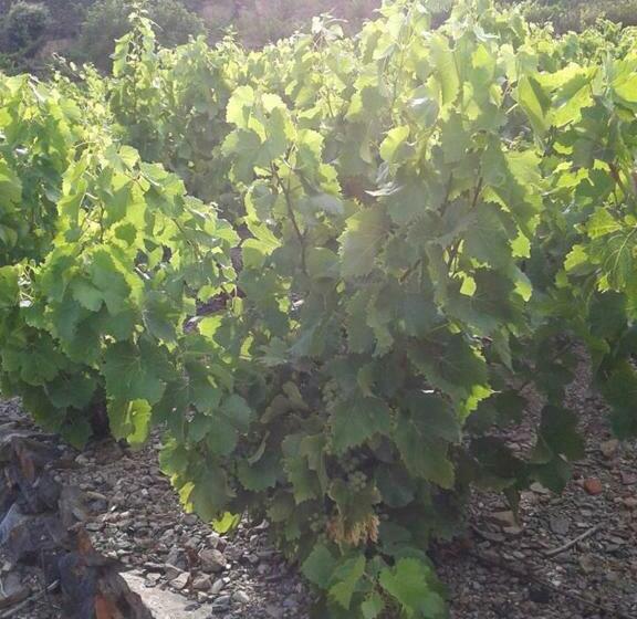 Face à La Mer Résidence Les Elmes