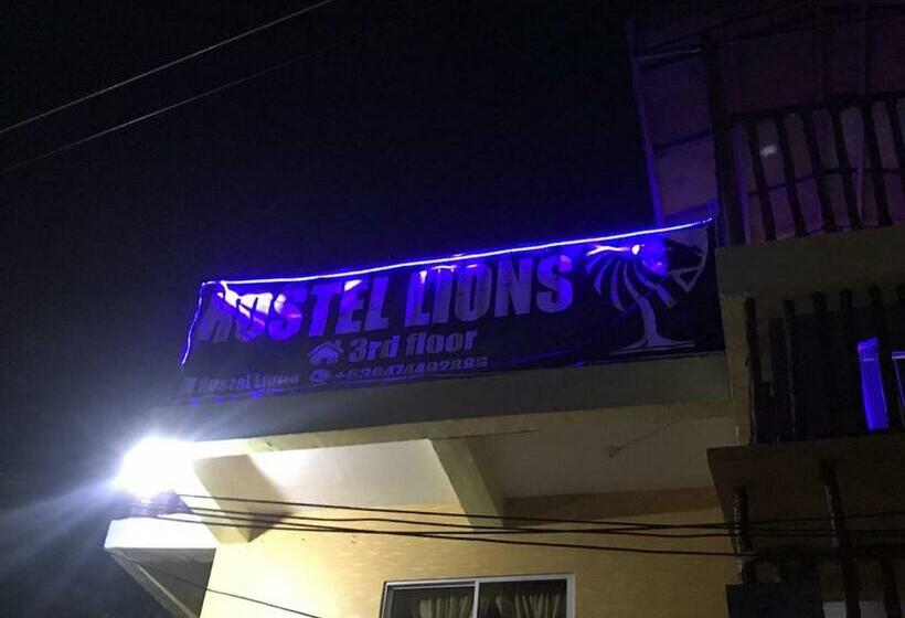 Hostel Lions
