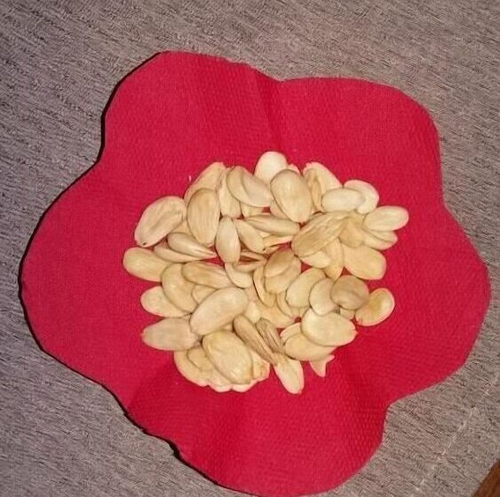 Family Hotel Bulgaria