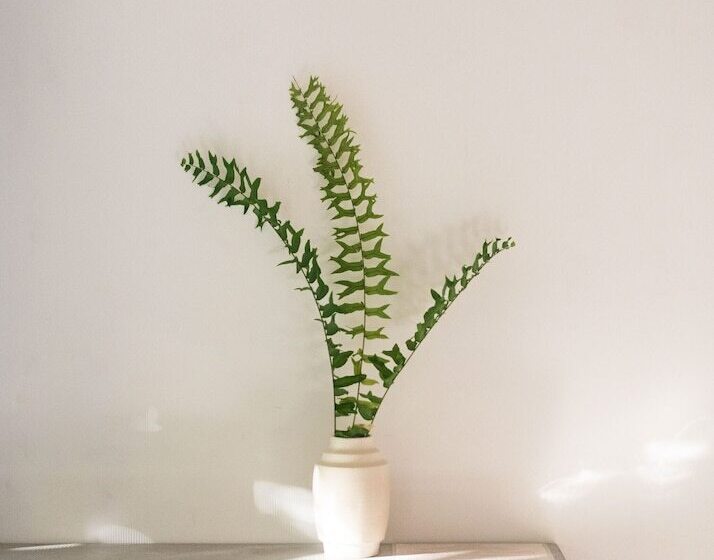 Marii Hotel Boutique