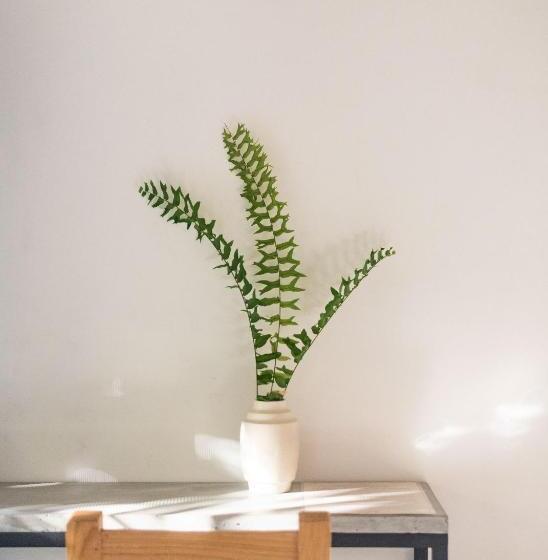 Marii Hotel Boutique