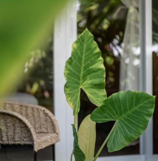 Marii Hotel Boutique