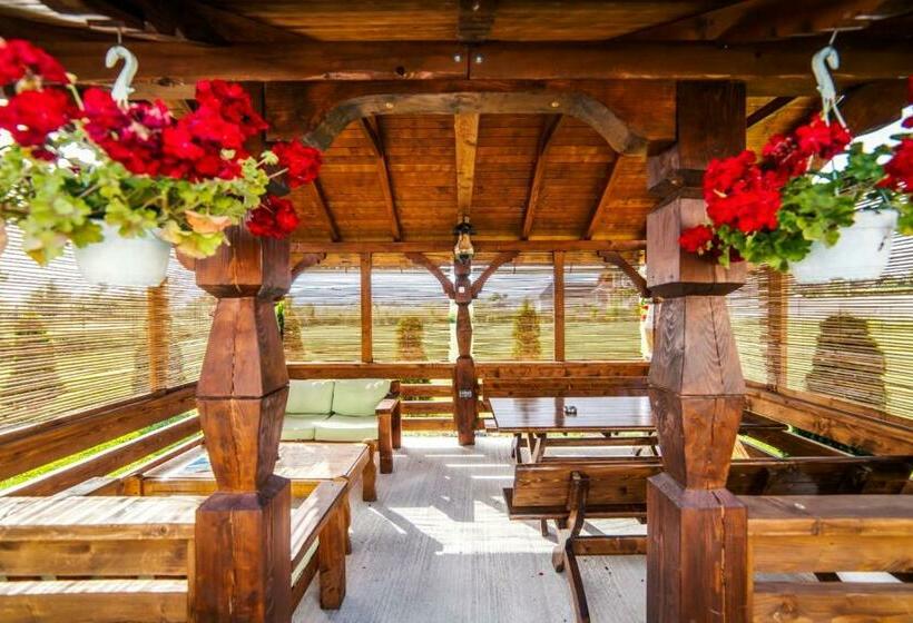 פנסיון Absolut Residence Hateg