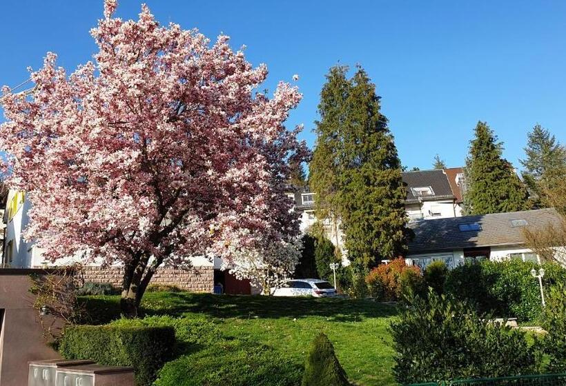 膳宿费 Apartment Caracalla