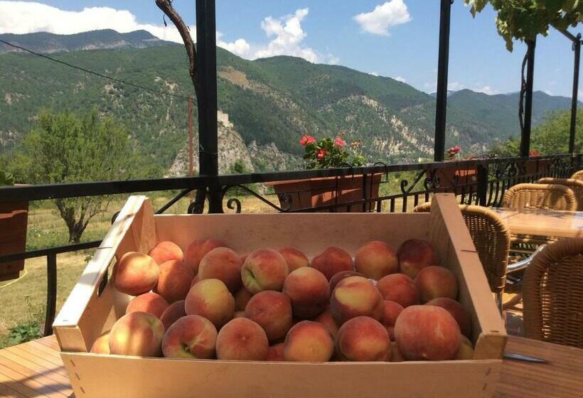 膳宿费 Clôt De Félines Chambre Spacieuse