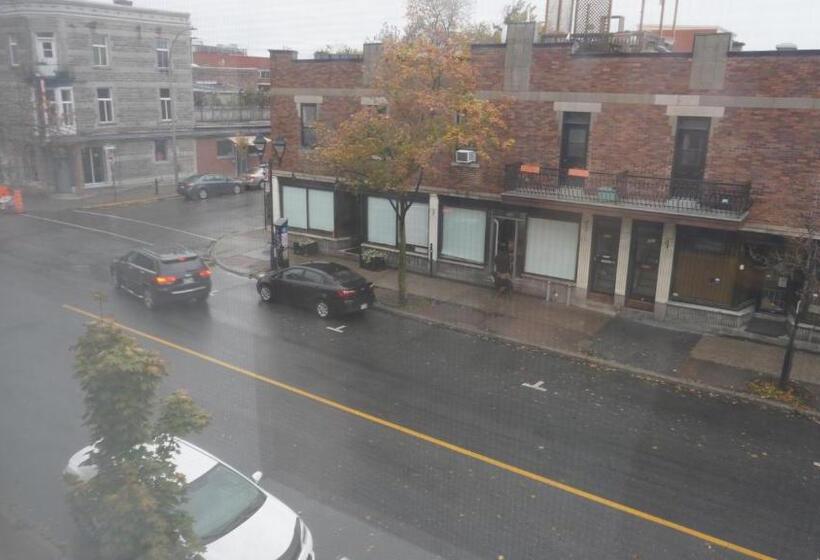 膳宿费 Homa Homestay Hotel By Olympic Stadium Montreal Auberge Hostel