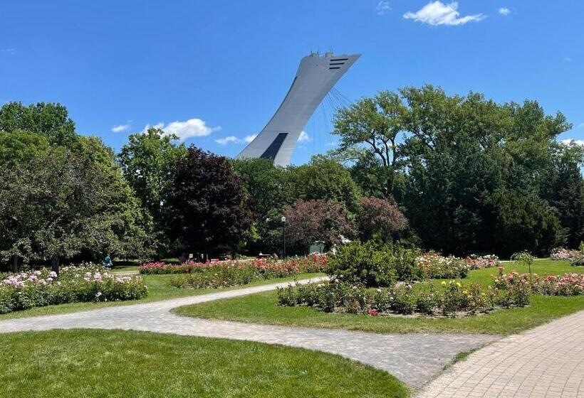 膳宿费 Homa Homestay Hotel By Olympic Stadium Montreal Auberge Hostel