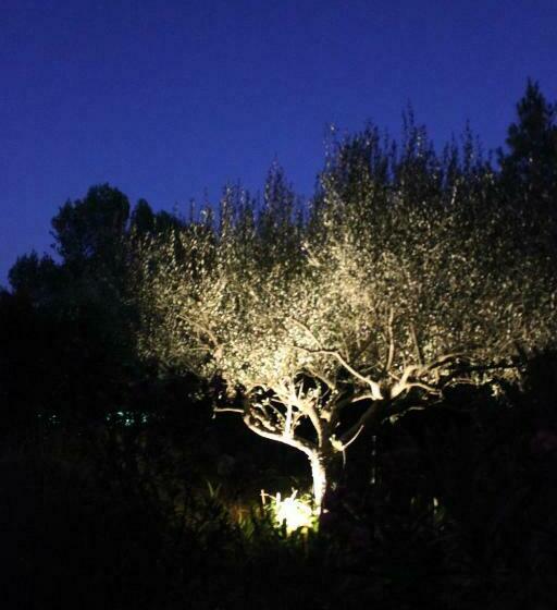 بنسيون Le Baou