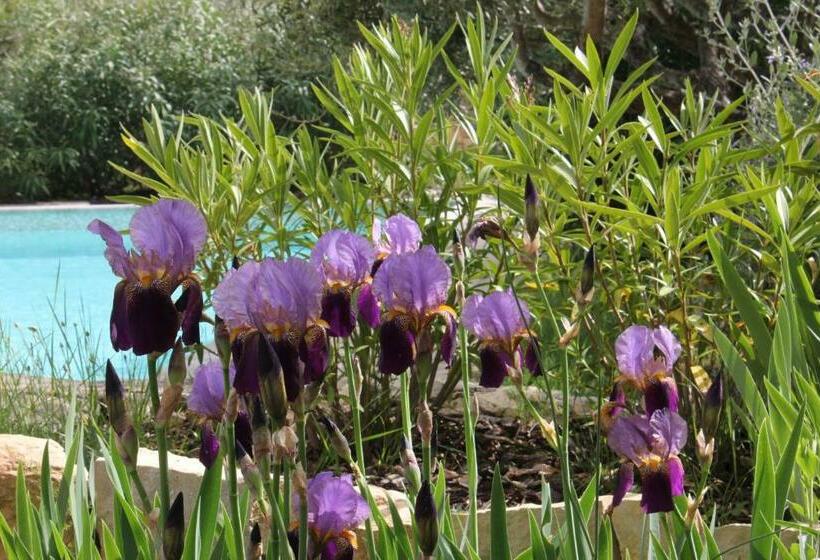 بنسيون Le Baou