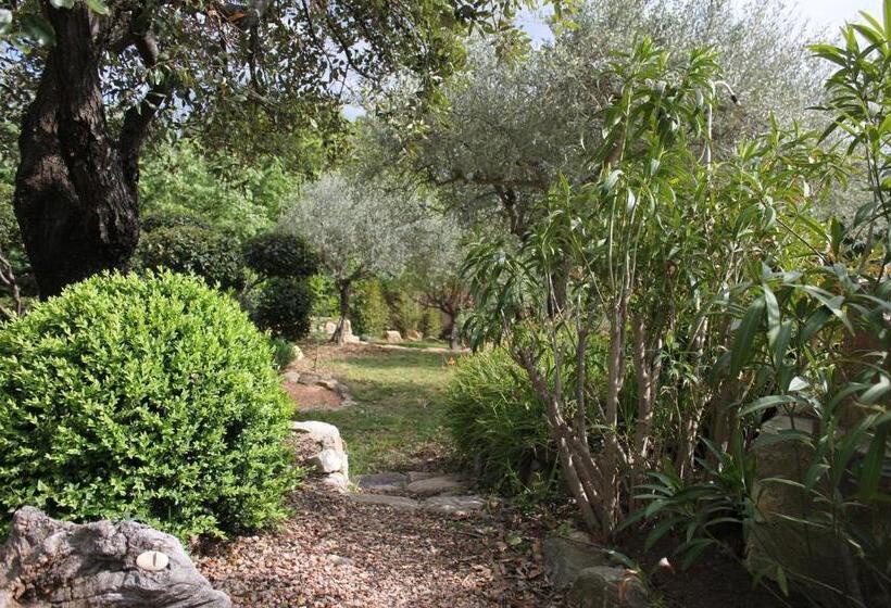 بنسيون Le Baou