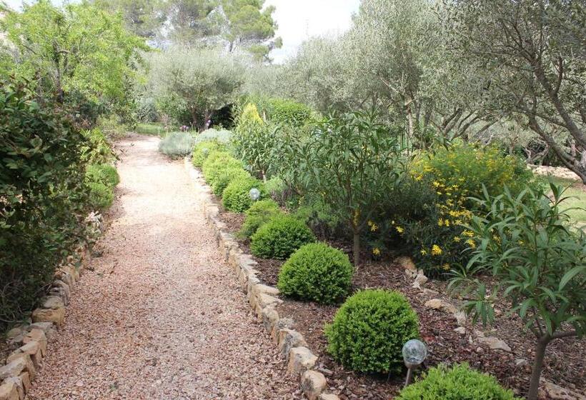 بنسيون Le Baou