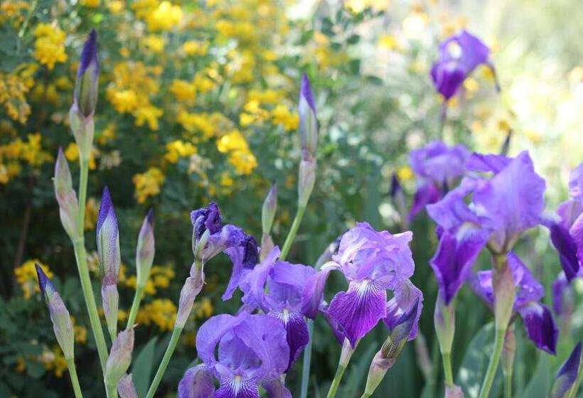 بنسيون Le Baou