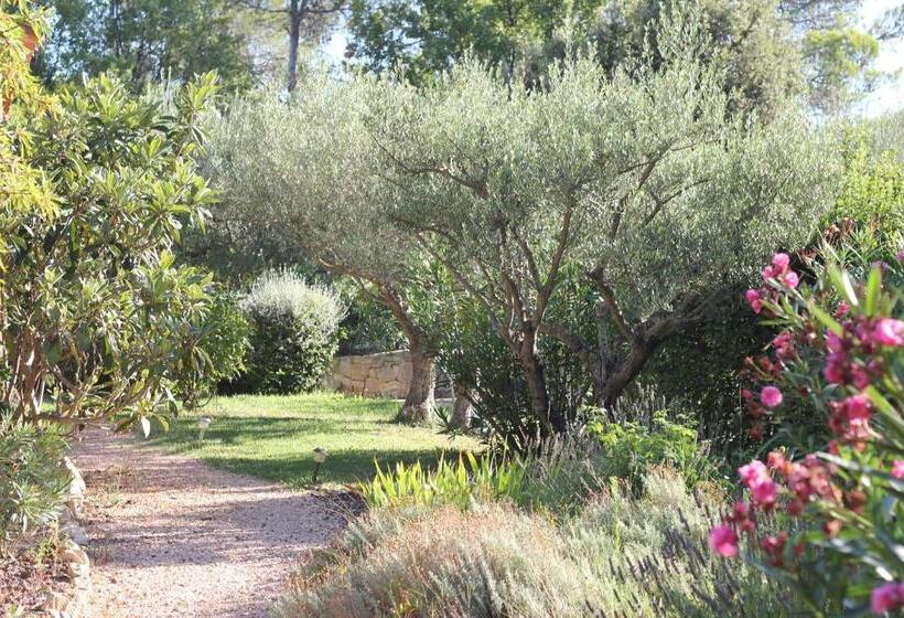 بنسيون Le Baou