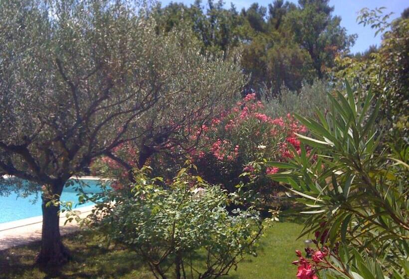 بنسيون Le Baou