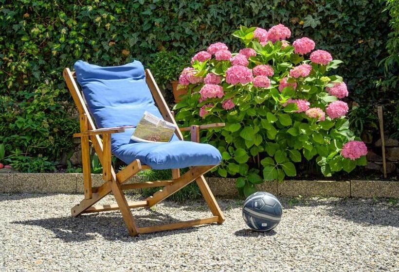 بنسيون Le Rondini