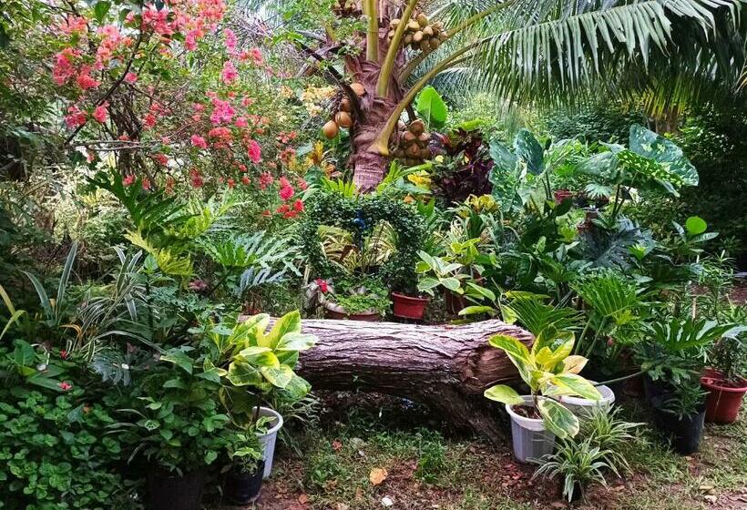 پانسیون Lighthaus Dp Garden Resort