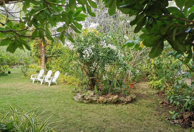 پانسیون Lighthaus Dp Garden Resort