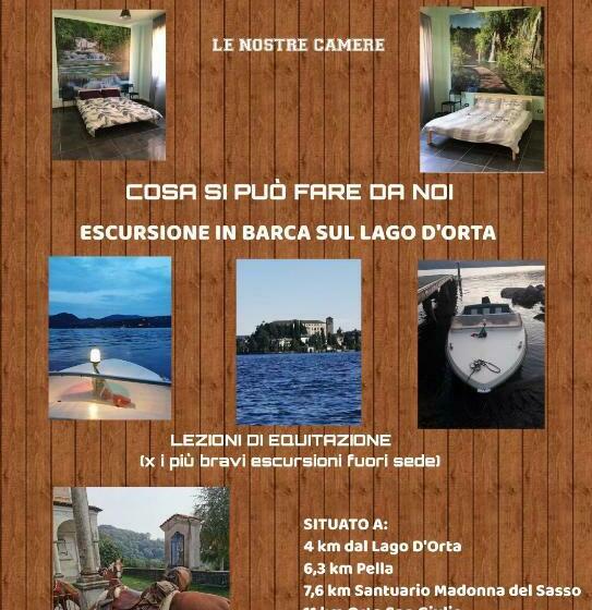 פנסיון The Horse