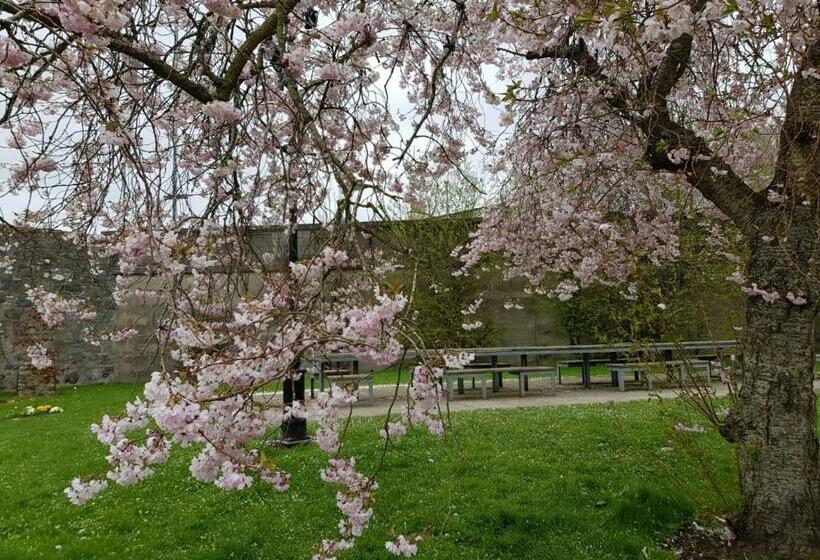 פנסיון The Smiddy Suite