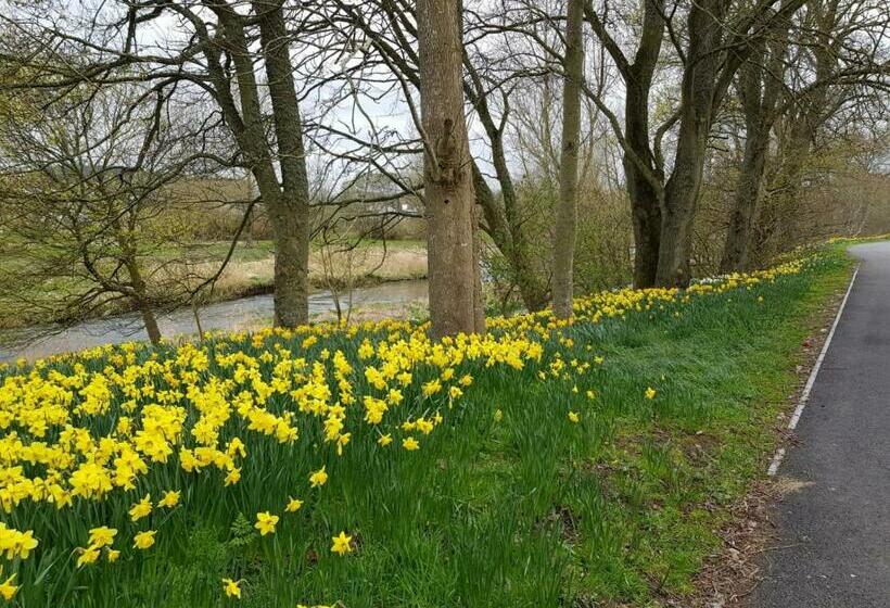 פנסיון The Smiddy Suite