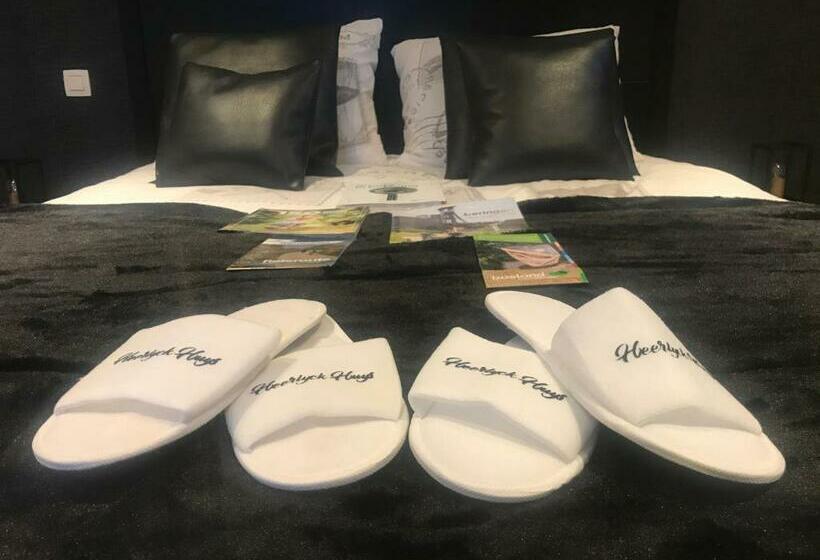 住宿加早餐  Gastenverblyf Heerlyck Huys