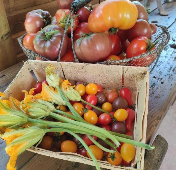 住宿加早餐  Chez Pascaline