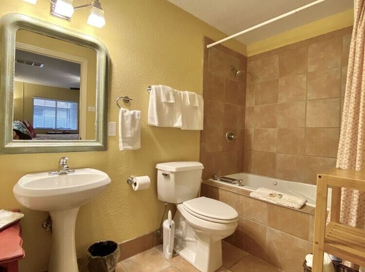 Bed and Breakfast Comal Inn