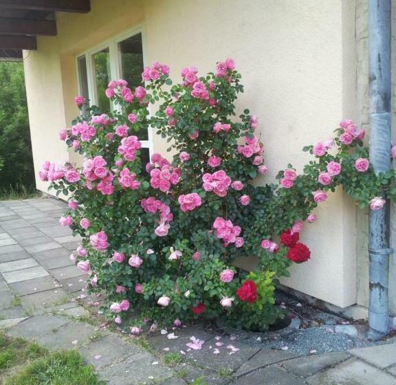 ベッドアンドブレックファースト Ferienwohnung Am Spreeradweg