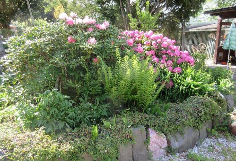 Bed and Breakfast Fewo Landhaus Ederlust Heilungsräume Ev