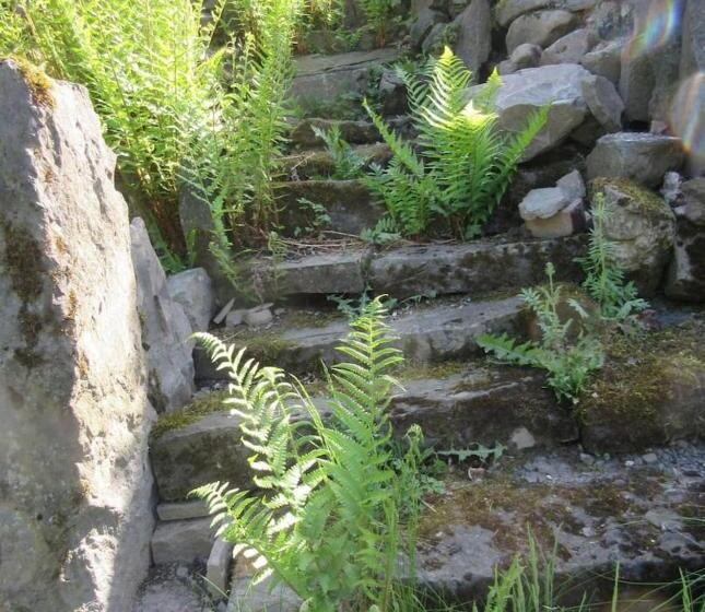 Bed and Breakfast Fewo Landhaus Ederlust Heilungsräume Ev