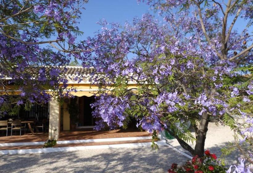 צימר Finca Gordo