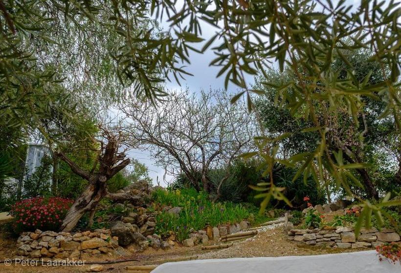 مبيت وإفطار Finca Gordo