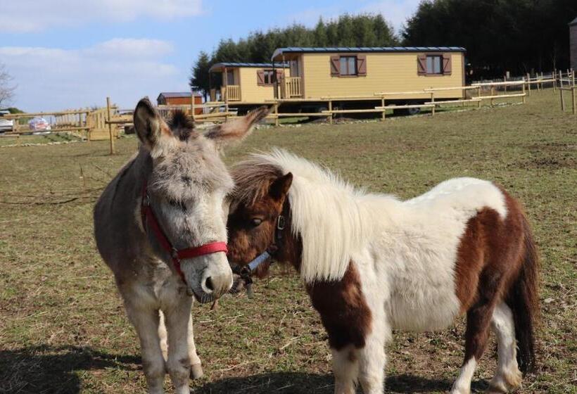 צימר L  Instant Ch  Oizy