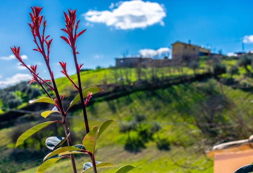 مبيت وإفطار La Casa Del Nonno