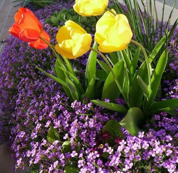 مبيت وإفطار Les Aubretias