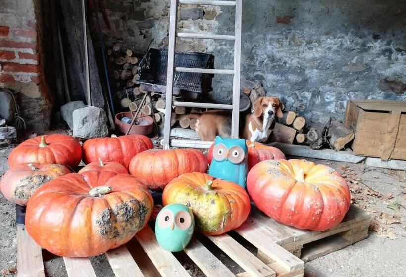 ベッドアンドブレックファースト Les Bessonnes