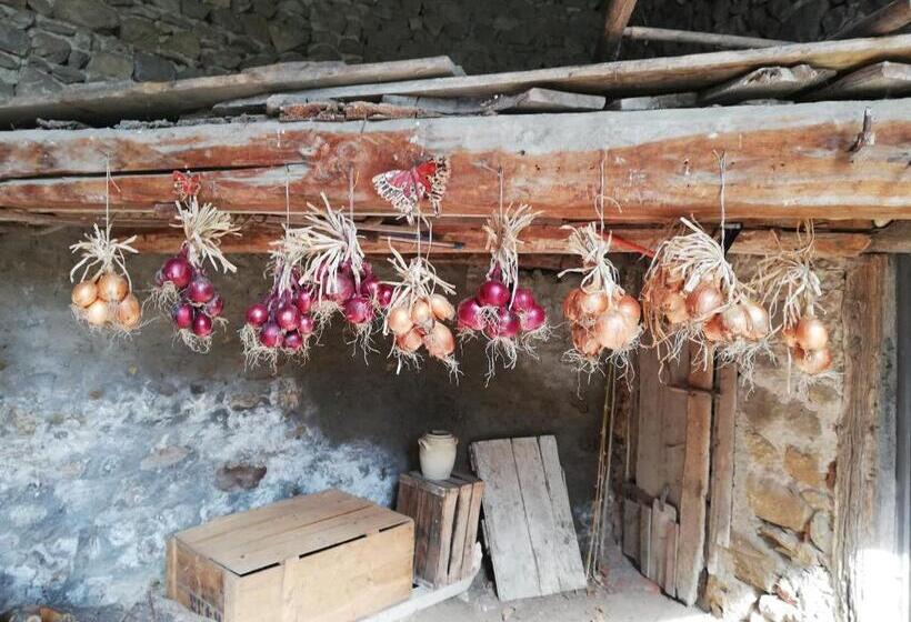 ベッドアンドブレックファースト Les Bessonnes