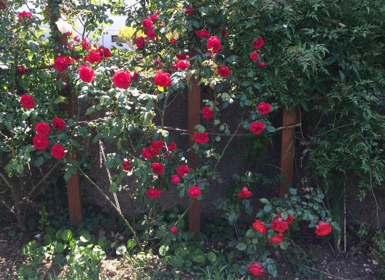 住宿加早餐  Un Temps Pour Le Rêve
