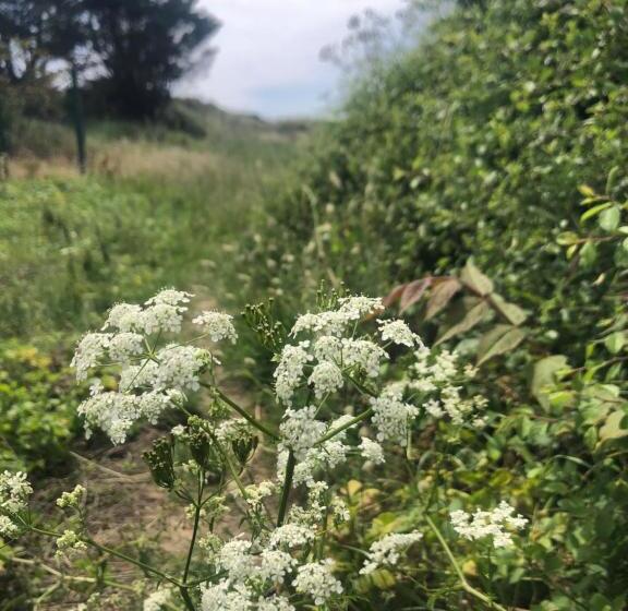 Clos Des Aigrettes, Gîtes à La Cotinière