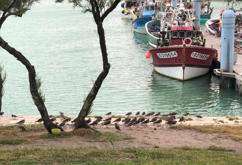 Clos Des Aigrettes, Gîtes à La Cotinière