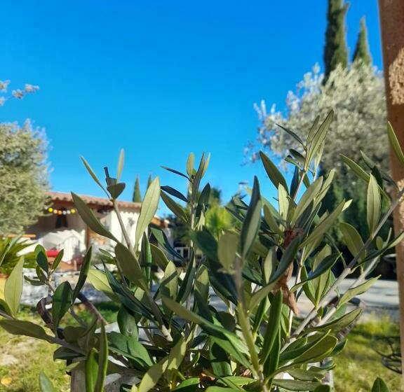 住宿加早餐  Cocon Provençal   T1 25m2   Sdb   Terrasse Privée & Accès Piscine à Saint Chamas