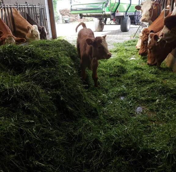 호텔 Gästehaus Annemarie